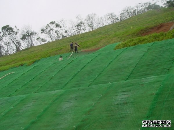 三維植被網(wǎng)http://www.xiaohuxiaole.com/